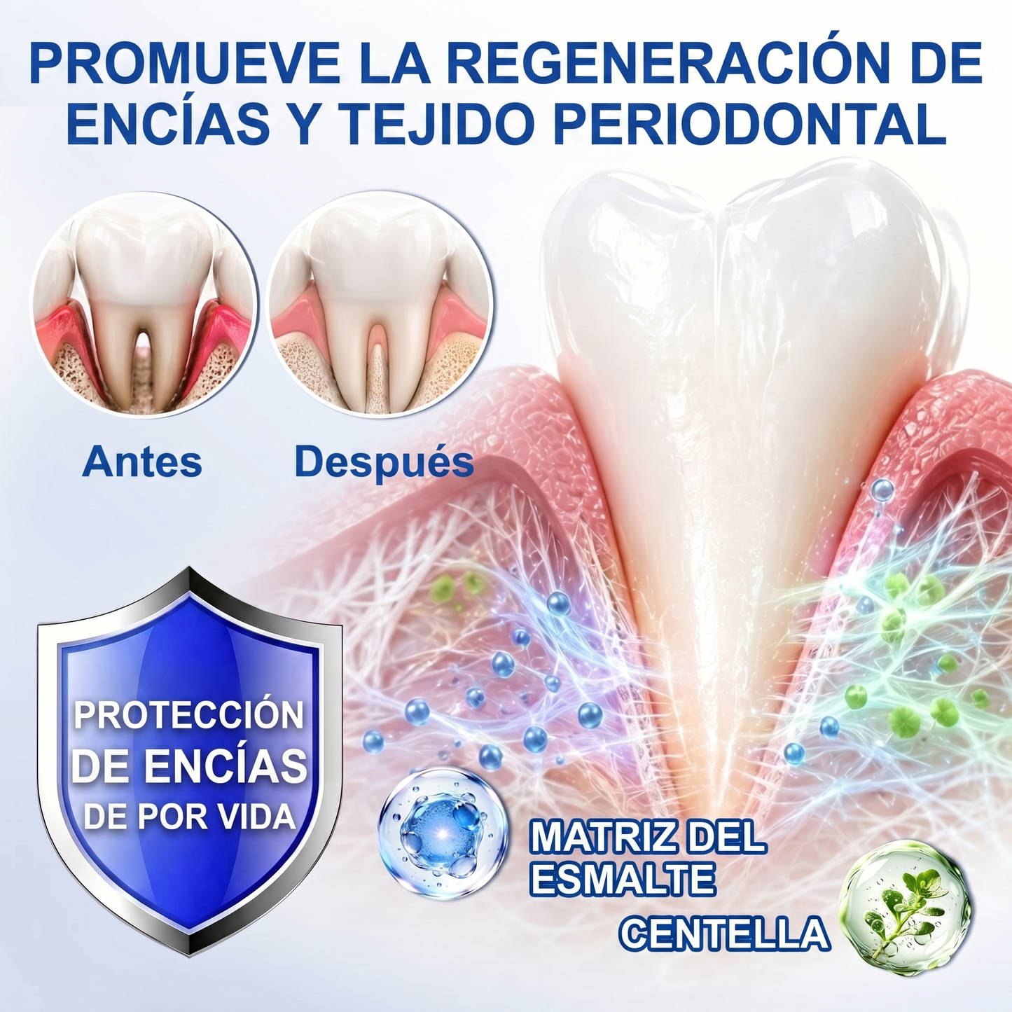 Zoencgz® 🦷🧴 Gel antibacteriano para la regeneración de las encías | Resultados visibles en 7 días