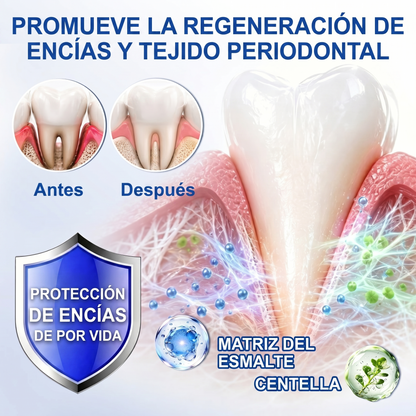 Zoencgz® 🦷🧴 Gel antibacteriano para la regeneración de las encías | Resultados visibles en 7 días